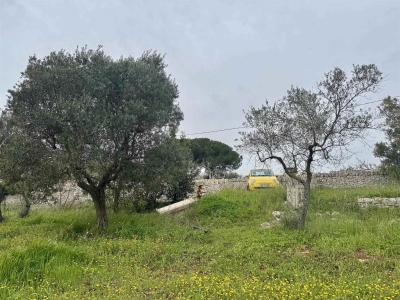 immagine annuncio 8 di 9