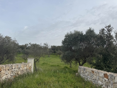 immagine annuncio 8 di 9