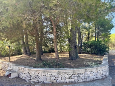 immagine annuncio 8 di 9