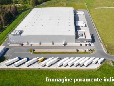 immagine annuncio 4 di 9