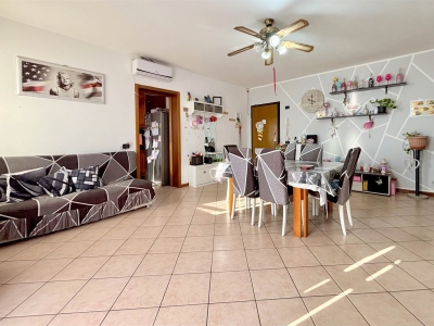 immagine annuncio 7 di 9