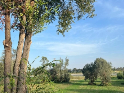 immagine annuncio 7 di 9