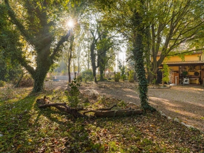 immagine annuncio 3 di 9