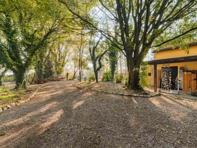 immagine annuncio 2 di 9