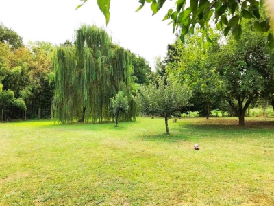 immagine annuncio 8 di 9