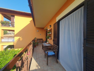 immagine annuncio 7 di 9