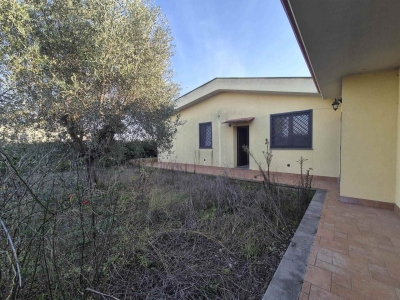 immagine annuncio 5 di 9