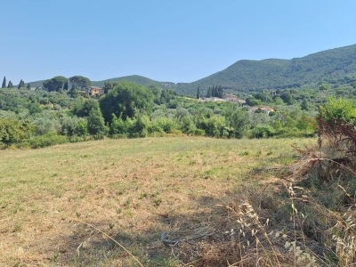 immagine annuncio 3 di 9