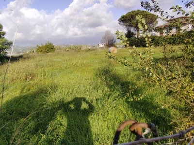 immagine annuncio 4 di 7