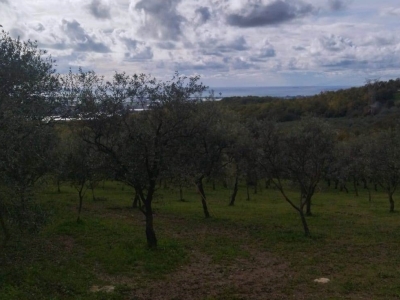 immagine annuncio 5 di 9