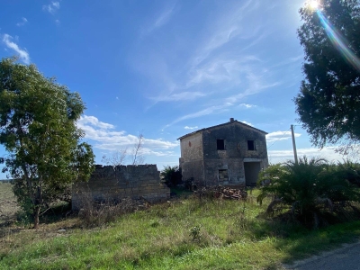 immagine annuncio 5 di 9