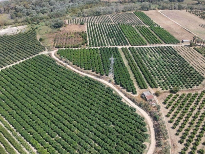 immagine annuncio 2 di 9