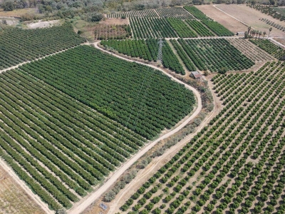 immagine annuncio 5 di 9