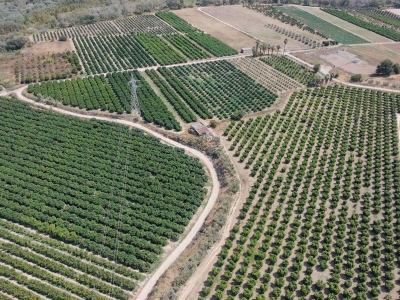 immagine annuncio 3 di 9