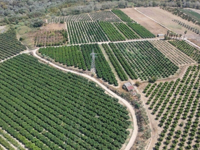 immagine annuncio 7 di 9