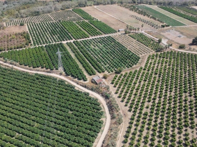 immagine annuncio 4 di 9