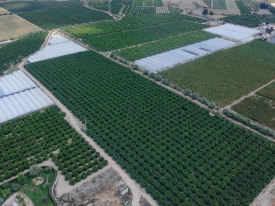 immagine annuncio 8 di 9