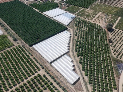 immagine annuncio 1 di 9