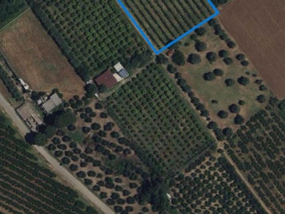 immagine annuncio 2 di 4