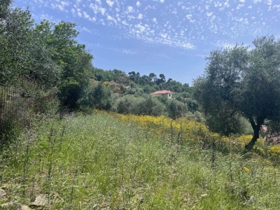 immagine annuncio 2 di 6
