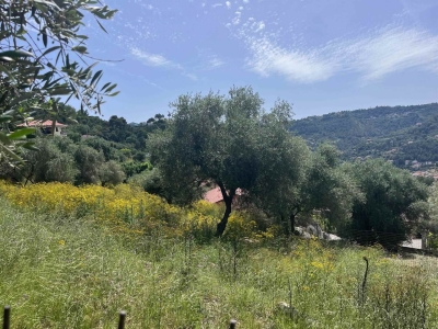 immagine annuncio 1 di 6