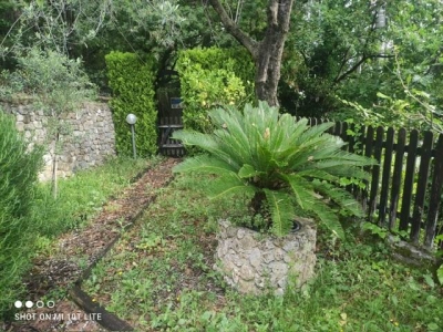 immagine annuncio 7 di 9