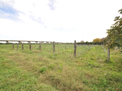 immagine annuncio 1 di 3