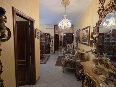 immagine annuncio 1 di 7