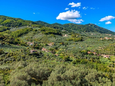 immagine annuncio 6 di 9