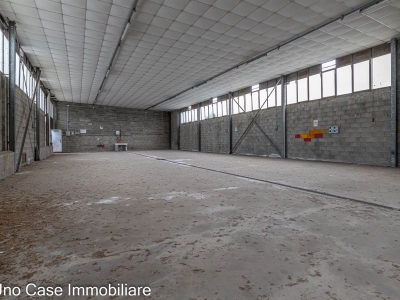 immagine annuncio 6 di 9