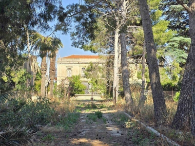 immagine annuncio 2 di 9