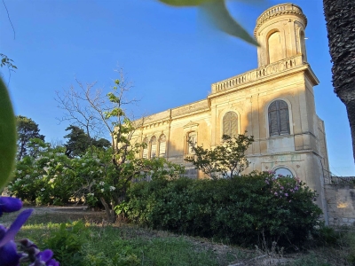 immagine annuncio 5 di 9