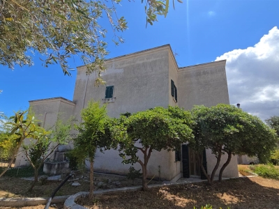 immagine annuncio 8 di 9