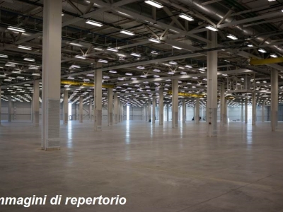 immagine annuncio 7 di 9