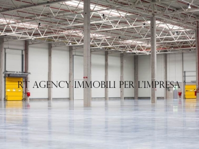 immagine annuncio 3 di 9