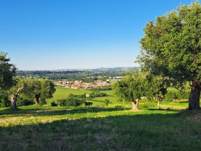 immagine annuncio 2 di 9