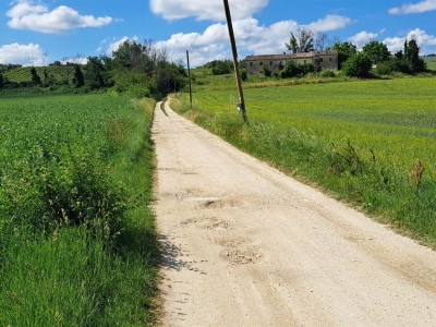 immagine annuncio 5 di 8