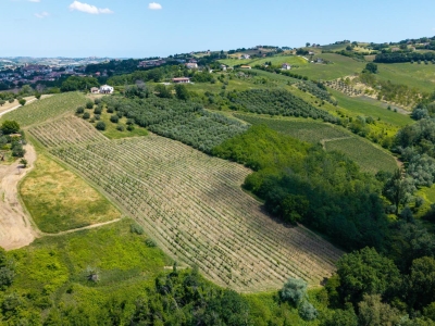 immagine annuncio 6 di 9