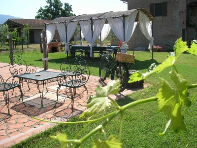 immagine annuncio 2 di 9