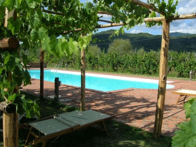 immagine annuncio 7 di 9