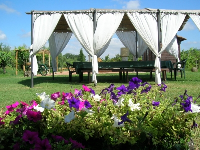 immagine annuncio 4 di 9