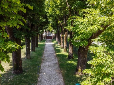 immagine annuncio 6 di 7