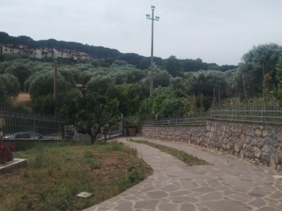 immagine annuncio 3 di 9