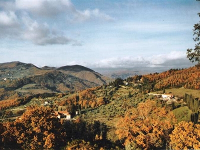 immagine annuncio 6 di 9