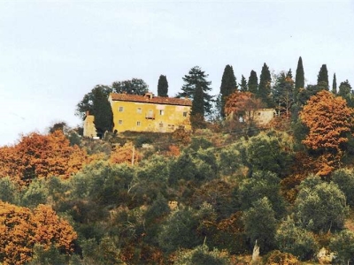 immagine annuncio 7 di 9