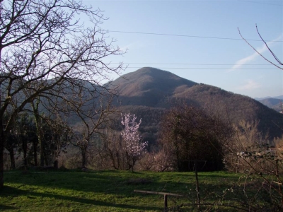 immagine annuncio 4 di 9