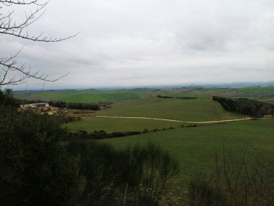immagine annuncio 3 di 9