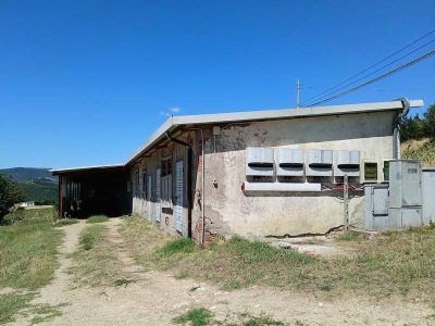 immagine annuncio 3 di 9