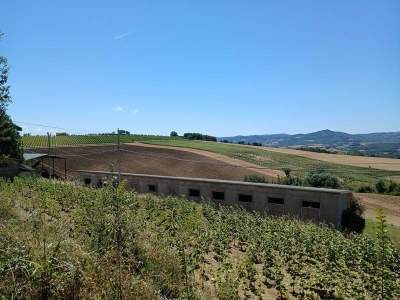 immagine annuncio 7 di 9