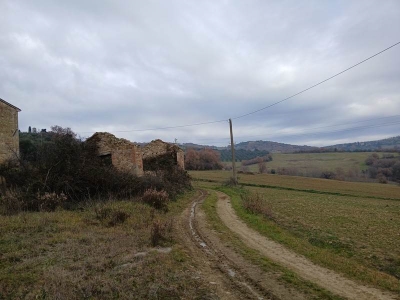 immagine annuncio 6 di 9
